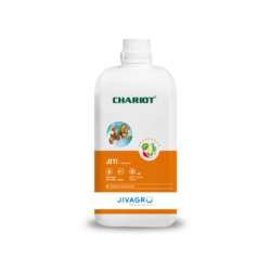 Chariot