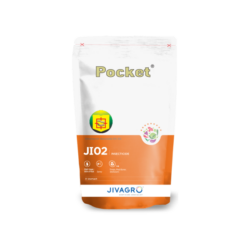 Pocket
