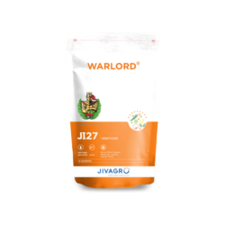 Warlord