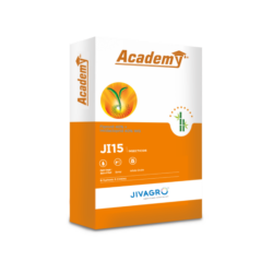 Academy